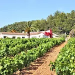 Le Domaine Des Vignes-spacieuse Villa/piscine * Hyères