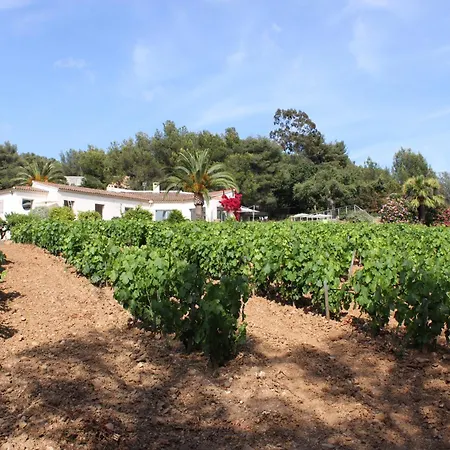 Villa Le Domaine Des Vignes-spacieuse Villa/piscine Hyeres