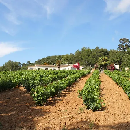 빌라 Le Domaine Des Vignes-spacieuse Villa/piscine
