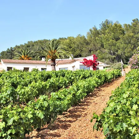 Le Domaine Des Vignes-spacieuse Villa/piscine * 히에레