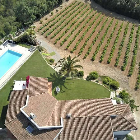 Le Domaine Des Vignes-spacieuse Villa/piscine Villa Hyeres