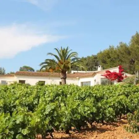 Le Domaine Des Vignes-spacieuse Villa/piscine * Hyeres