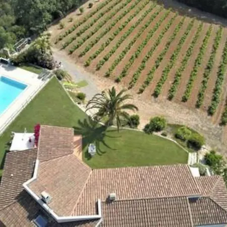 Le Domaine Des Vignes-spacieuse Villa/piscine Вилла Йер