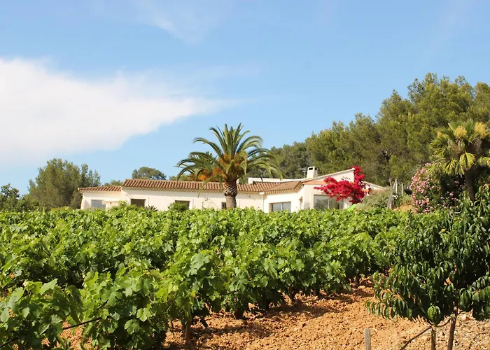 Le Domaine Des Vignes-spacieuse Villa/piscine Villa