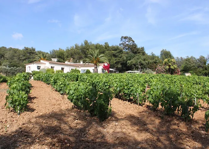 Villa Le Domaine Des Vignes-spacieuse Villa/piscine Hyeres