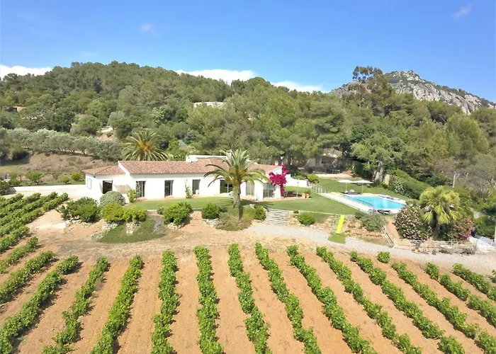 Villa Le Domaine Des Vignes-spacieuse Villa/piscine Hyeres