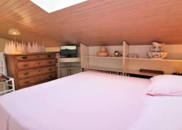 Le Domaine Des Vignes-spacieuse Villa/piscine * Hyeres