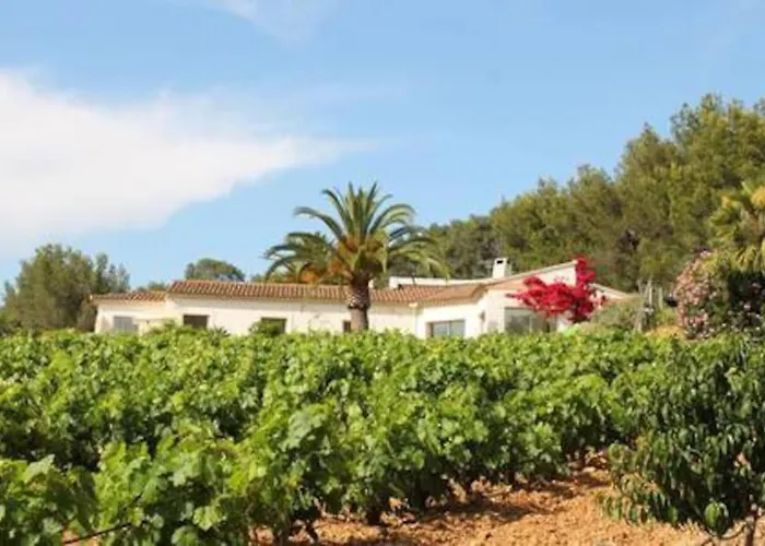 Le Domaine Des Vignes-spacieuse Villa/piscine * Hyeres