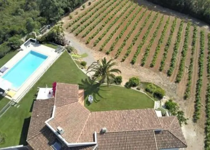 Le Domaine Des Vignes-spacieuse Villa/piscine Villa Hyeres