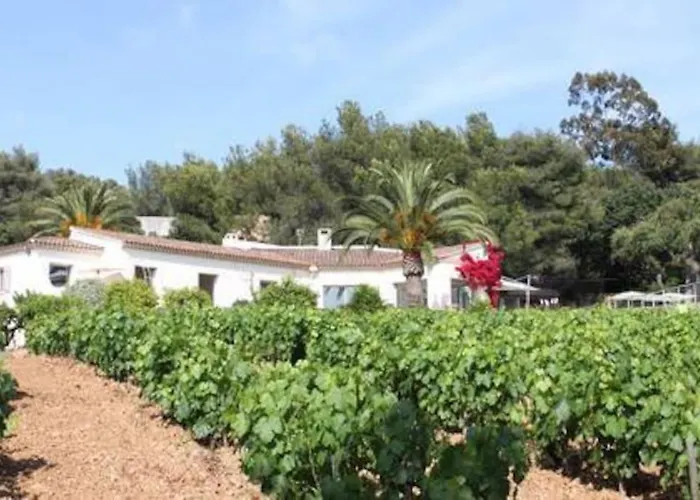 Le Domaine Des Vignes-spacieuse Villa/piscine Villa *