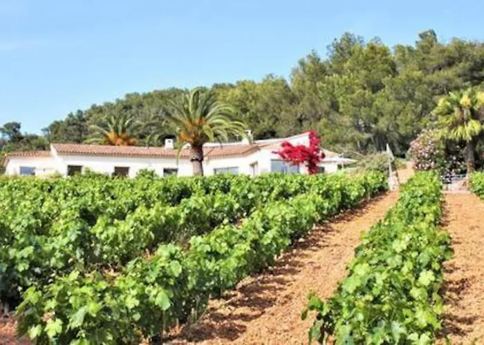 Villa Le Domaine Des Vignes-spacieuse Villa/piscine